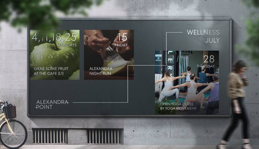 沧县包装设计公司如何进行品牌审核